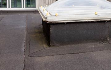 disadvantages of Watch House Green flat roofs